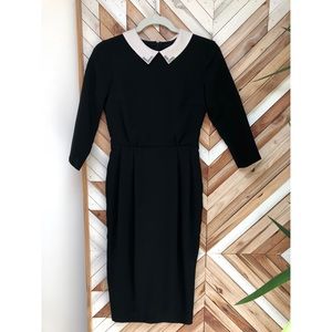 black dress contrast collar | asos | 2